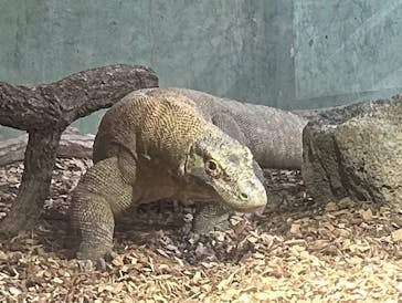 名古屋市東山動植物園に投稿された画像（2025/8/5）