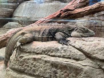 名古屋市東山動植物園に投稿された画像（2025/8/5）