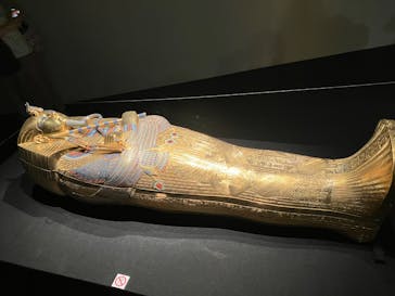 MYSTERY OF TUTANKHAMEN 体感型古代エジプト展に投稿された画像（2025/8/5）