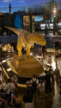 福井県立恐竜博物館に投稿された画像（2025/8/5）