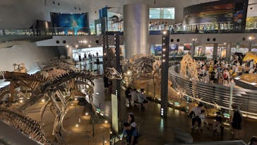 福井県立恐竜博物館に投稿された画像（2025/8/5）