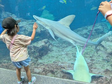 鴨川シーワールドに投稿された画像（2025/8/5）