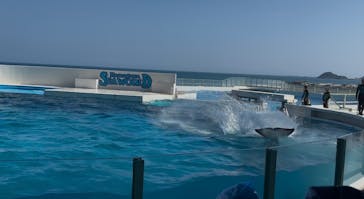 鴨川シーワールドに投稿された画像（2025/8/5）