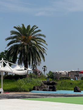 しらこばと水上公園（埼玉県公園緑地協会）に投稿された画像（2025/8/5）