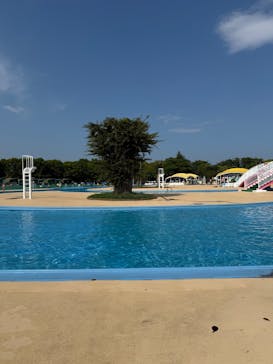 しらこばと水上公園（埼玉県公園緑地協会）に投稿された画像（2025/8/5）