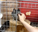 いきもの探検隊上尾に投稿された画像（2025/8/5）