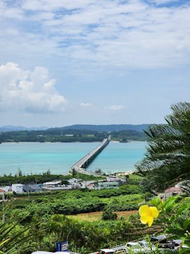 古宇利オーシャンタワーに投稿された画像（2025/8/5）