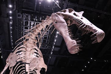 福井県立恐竜博物館に投稿された画像（2025/8/5）