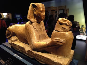 ACN ラムセス大王展 ファラオたちの黄金に投稿された画像（2025/8/5）