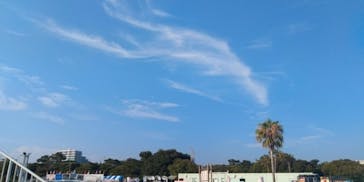 稲毛海浜公園（SUNSET BEACH PARK INAGE）に投稿された画像（2025/8/5）