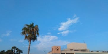 稲毛海浜公園（SUNSET BEACH PARK INAGE）に投稿された画像（2025/8/5）