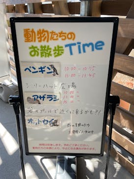大分マリーンパレス水族館 「うみたまご」に投稿された画像（2025/8/5）