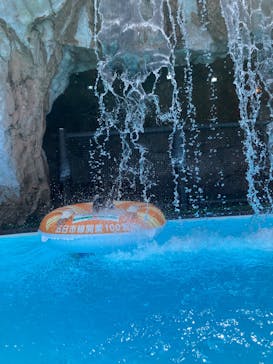 東京サマーランドに投稿された画像（2025/8/5）