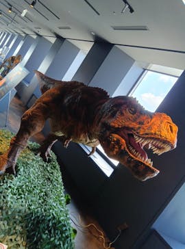 サンシャイン60展望台に投稿された画像（2025/8/6）