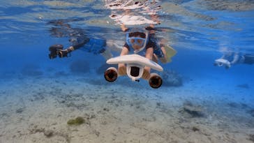 Marine shop Irafuに投稿された画像（2025/8/6）