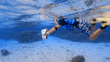 Marine shop Irafuに投稿された画像（2025/8/6）