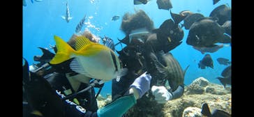 武藤潜水に投稿された画像（2025/8/6）