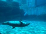 名古屋港水族館に投稿された画像（2025/8/6）