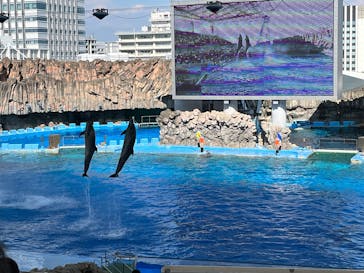 名古屋港水族館に投稿された画像（2025/8/6）