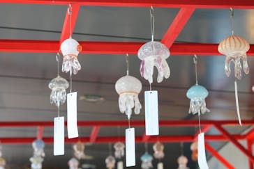 京都水族館に投稿された画像（2025/8/6）