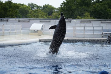 京都水族館に投稿された画像（2025/8/6）