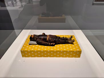 彫刻の森美術館に投稿された画像（2025/8/6）