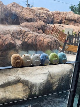 上越市立水族博物館 うみがたりに投稿された画像（2025/8/6）