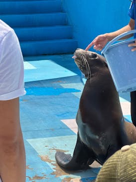 ゼロ距離水族館 伊勢シーパラダイスに投稿された画像（2025/8/6）