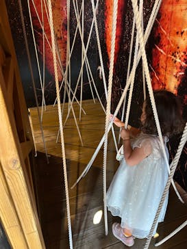 鈴鹿サーキットに投稿された画像（2025/8/6）