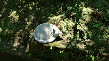 仙巌園に投稿された画像（2025/8/6）