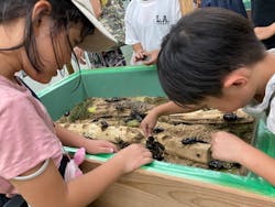 夏休み！ふれあい昆虫ランドに投稿された画像（2025/8/6）