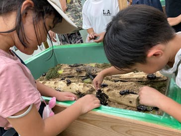 夏休み！ふれあい昆虫ランドに投稿された画像（2025/8/6）