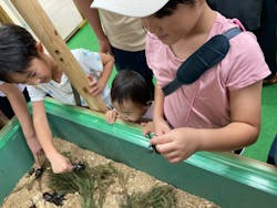 夏休み！ふれあい昆虫ランドに投稿された画像（2025/8/6）