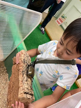 夏休み！ふれあい昆虫ランドに投稿された画像（2025/8/6）