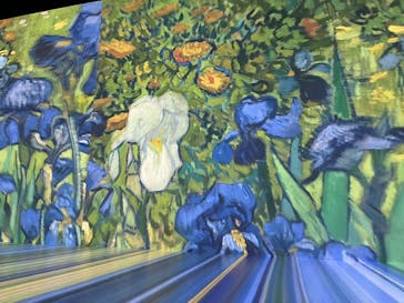 Immersive Museum OSAKA 2025に投稿された画像（2025/8/6）