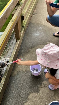 那須どうぶつ王国に投稿された画像（2025/8/6）