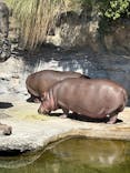天王寺動物園に投稿された画像（2025/8/6）