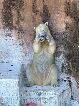 天王寺動物園に投稿された画像（2025/8/6）