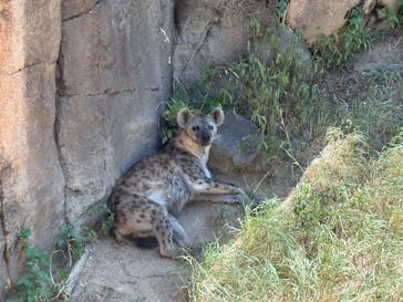 天王寺動物園に投稿された画像（2025/8/6）