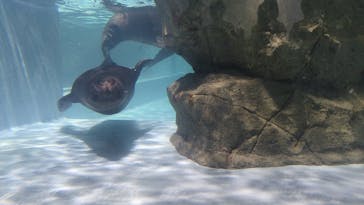 マクセル アクアパーク品川に投稿された画像（2025/8/6）