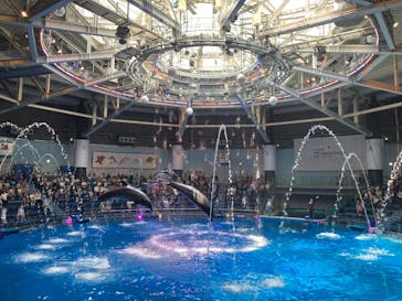 マクセル アクアパーク品川に投稿された画像（2025/8/6）