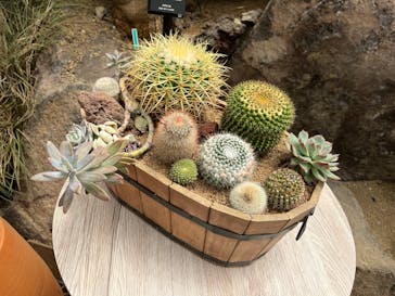 伊豆シャボテン動物公園に投稿された画像（2025/8/6）