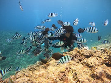 武藤潜水に投稿された画像（2025/8/6）