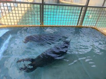 伊豆・三津シーパラダイスに投稿された画像（2025/8/6）