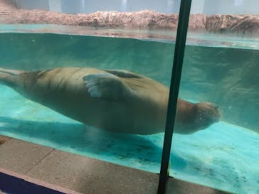 伊豆・三津シーパラダイスに投稿された画像（2025/8/6）