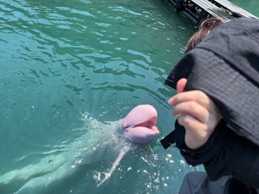 太地町立くじらの博物館に投稿された画像（2025/8/6）