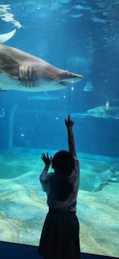 アクアワールド茨城県大洗水族館に投稿された画像（2025/8/6）
