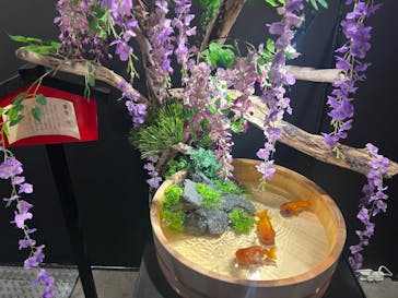 錦鯉・金魚アクアリウム in ときメッセに投稿された画像（2025/8/6）