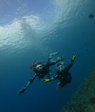 武藤潜水に投稿された画像（2025/8/6）