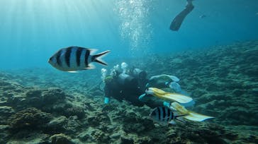 武藤潜水に投稿された画像（2025/8/6）